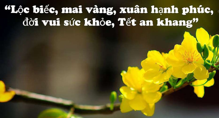 lời chúc tết