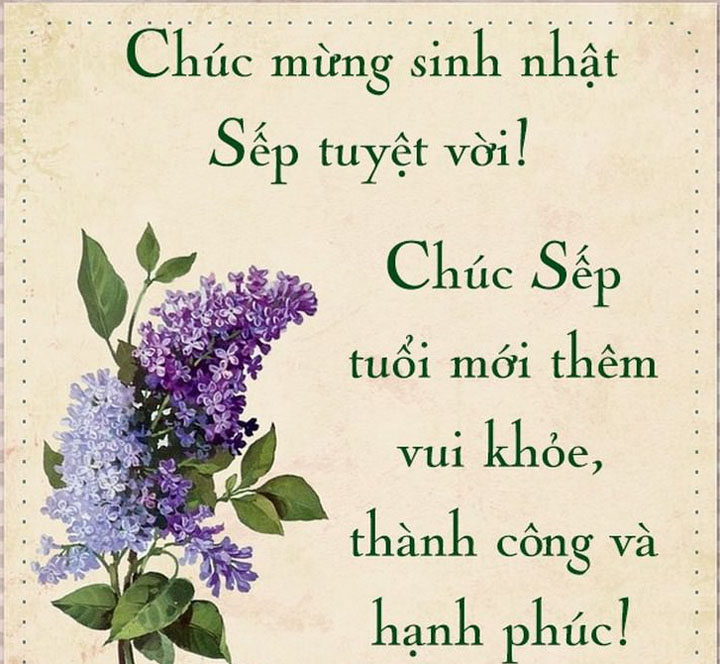 Lời chúc sinh nhật sếp