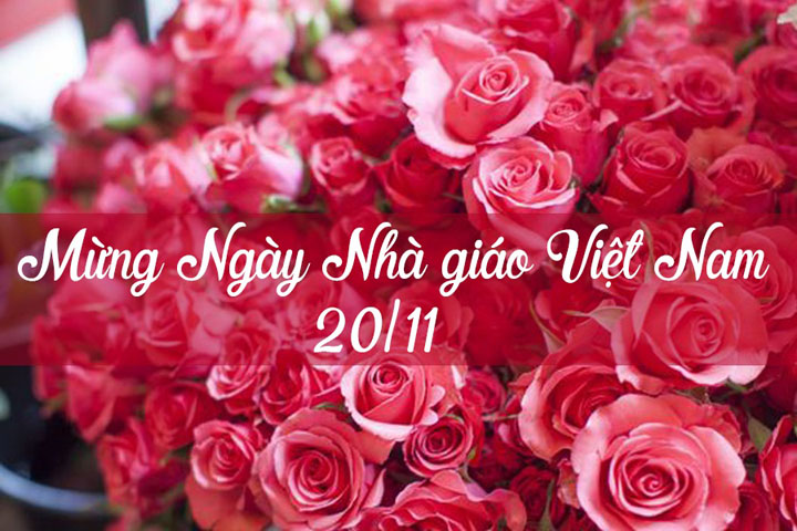 Lời tri ân thầy cô ngày nhà giáo việt nam